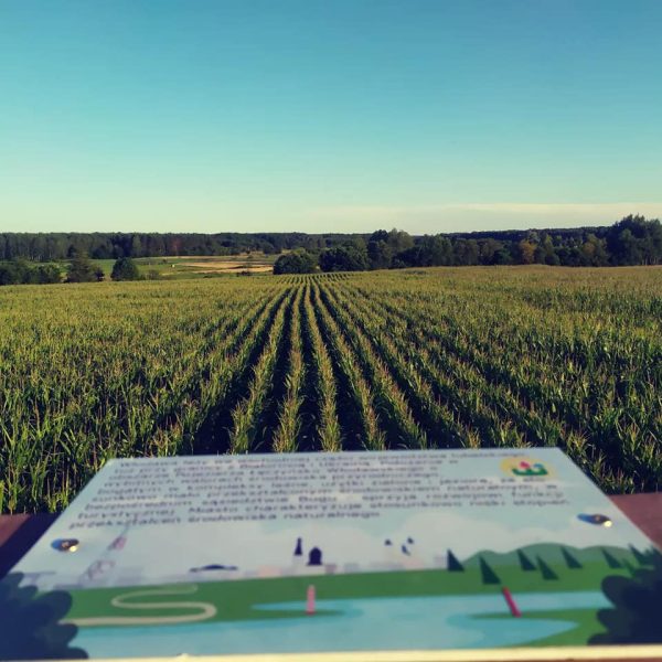 472936607 1031288968802098 6126162926867831329 n Spływy kajakowe Bugiem