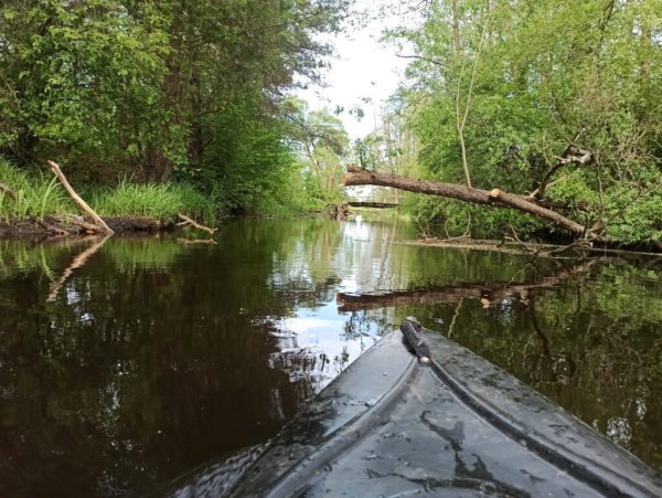 IMG 20220524 WA0007 1024x769 1 Spływy kajakowe Bugiem