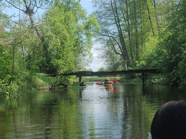 IMG 20250503 112317810 Spływy kajakowe Bugiem