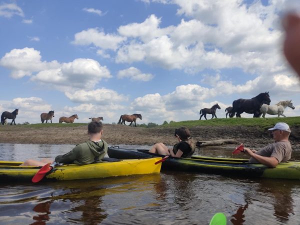 Messenger creation CE348E9A 2FBC 4E7F A1F4 7649158A4538 Spływy kajakowe Bugiem