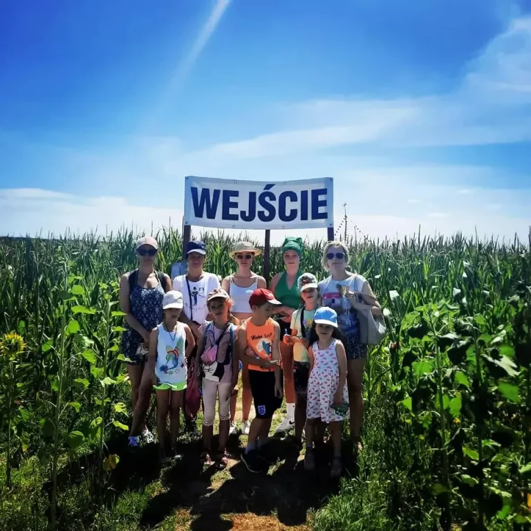 labirynt w polu kukurydzy 00006 Spływy kajakowe Bugiem