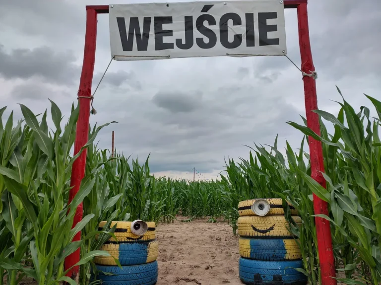 labirynt w polu kukurydzy 00007 Spływy kajakowe Bugiem