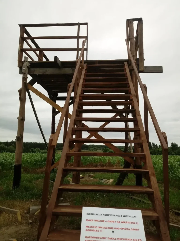 labirynt w polu kukurydzy 00009 Spływy kajakowe Bugiem