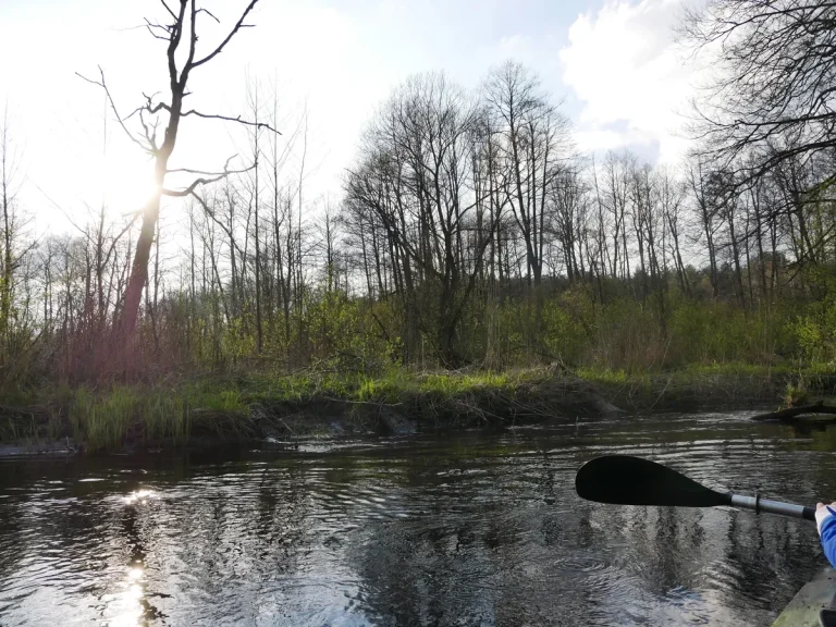 splywy kajakowe bugiem 0008 Spływy kajakowe Bugiem