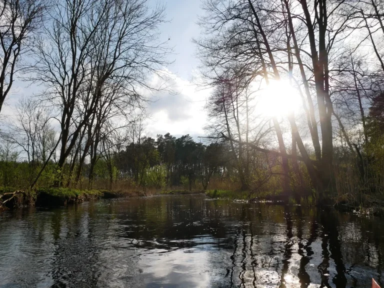 splywy kajakowe bugiem 0009 Spływy kajakowe Bugiem