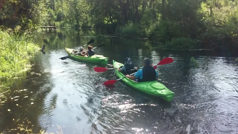 splywy kajakowe bugiem 0010 Spływy kajakowe Bugiem