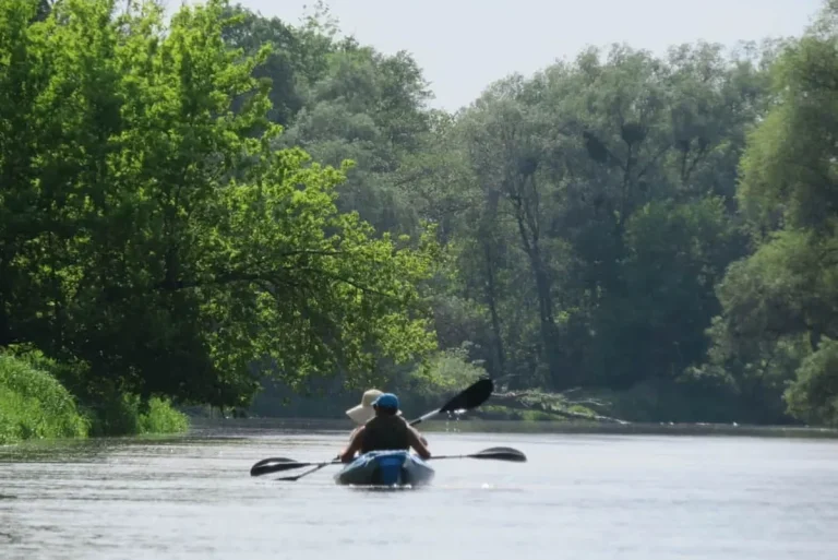 splywy kajakowe bugiem 0011 Spływy kajakowe Bugiem