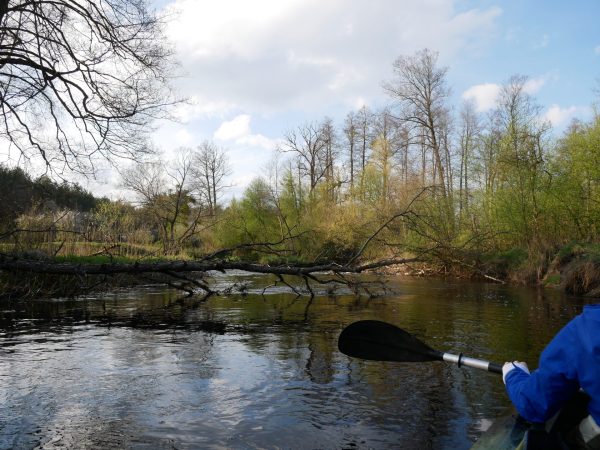 wlodawka1 Spływy kajakowe Bugiem
